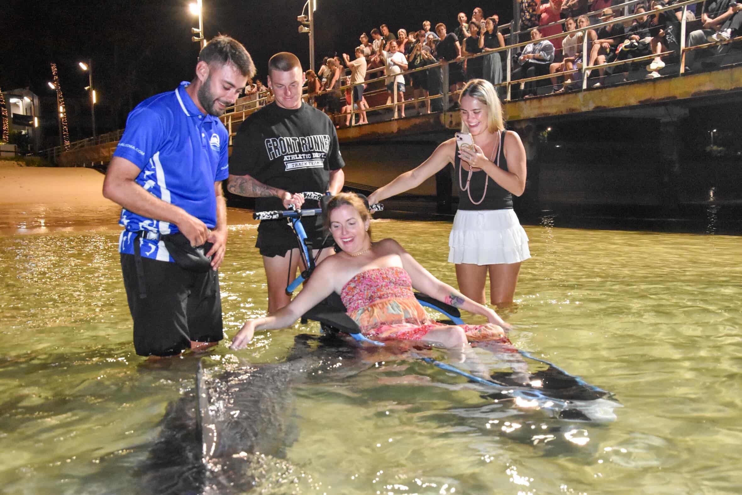 Dolphin Feeding Wheelchair